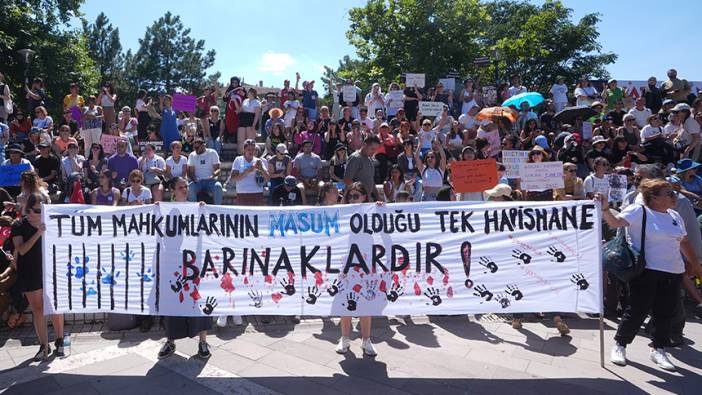 Hayvanseverler yasa tasarısına karşı eylem yaptı