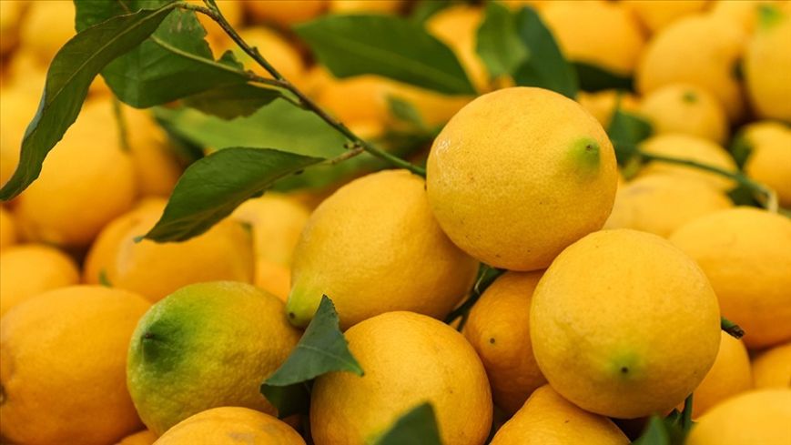Limon-2